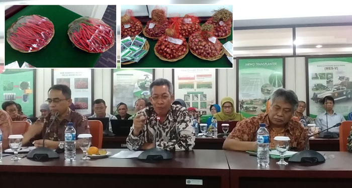 Balitbangtan: Teknologi Inovasi Mampu Antisipasi Fluktuasi Harga Bawang dan Cabai 